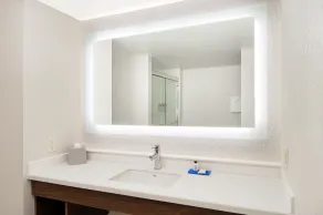Holiday Inn Express Statesboro by IHG - Salle de bain