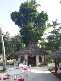 Hotel Atlantis - Reception