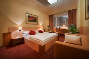 Hotel Grand Litava Beroun - Vistas desde la habitación