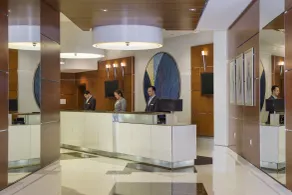 Hilton Dubai The Walk - Hall