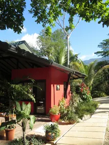 Oasis de las Palmas - Recepción
