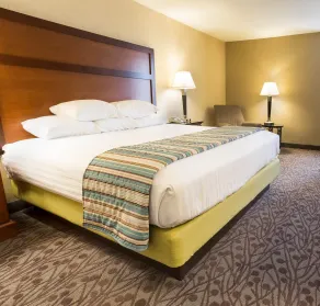 Drury Inn & Suites Atlanta Airport - Habitación