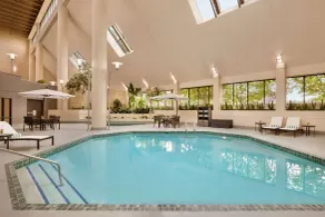 DoubleTree by Hilton Minneapolis - Park Place - Piscine