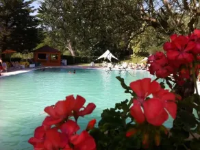 Albergo Terme Forlenza - Piscine