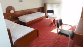 Hotel Post Viernheim - Værelse