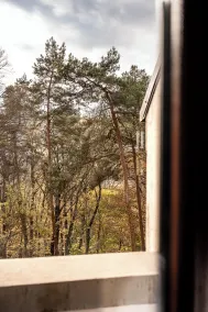 Forest Hotel - View from room