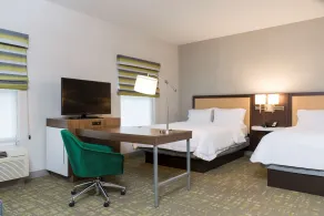 Hampton Inn & Suites East Lansing/Okemos - Værelse