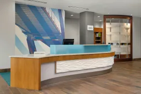 SpringHill Suites by Marriott Charleston Mount Pleasant - Réception