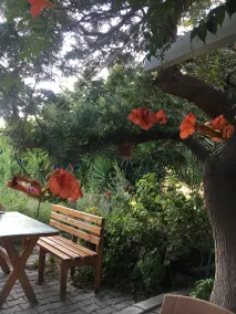 Aydeniz pansiyon - Restaurant