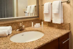 Sonesta ES Suites Detroit Warren - Baño