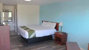 Chippewa Motel Mount Pleasant - Chambre