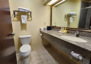 Days Inn & Suites by Wyndham Sam Houston Tollway - Salle de bain