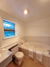 Ridgeview Motor Inn - Bathroom