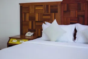 皮埃尔酒店Pierre Hotel - Room