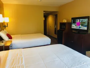 Hotel M Mount Pocono - Rum