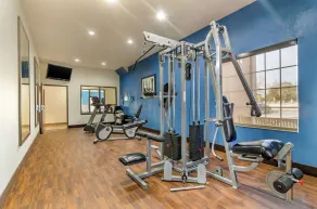 Comfort Inn & Suites near Bethel College - Fitnessfaciliteter