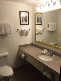 Comfort Inn & Suites Texas Hill Country - Salle de bain