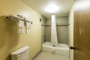 Rodeway Inn Knoxville East - Bad