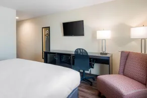 Econo Lodge Inn & Suites Springfield Main Street - Chambre