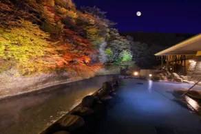 Hotel Shidotaira - Spa