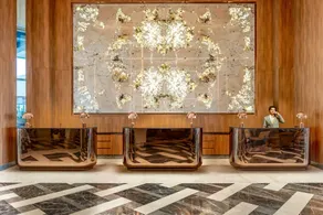 Concorde Aria - Reception