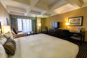 Wyndham Edmonton Hotel and Conference Centre - Chambre