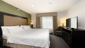 Holiday Inn Express & Suites Chicago Deerfield Lincolnshire by IHG - Chambre