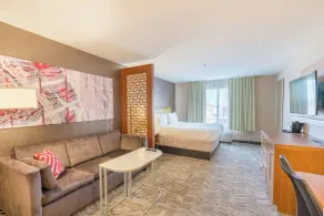 SpringHill Suites by Marriott Denton - Chambre
