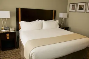 Holiday Inn Effingham by IHG - Chambre