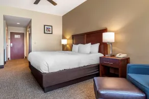 Comfort Inn & Suites Clinton - Jackson West - Chambre