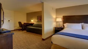 Holiday Inn Express & Suites Alpharetta by IHG - Chambre