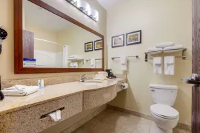 Comfort Inn Plover-Stevens Point - Salle de bain