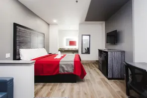 Palace Inn and Suites Baytown - Room