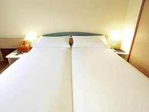 ibis Chambéry - Chambre