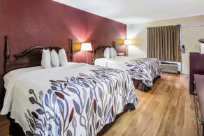 Red Roof Inn Caryville - Værelse