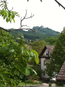 Hotel Garni Schmieder’s Ochsen - View from room