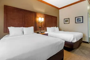 Comfort Inn & Suites Statesboro - University Area - Chambre