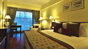 Jaypee Siddharth - View from room