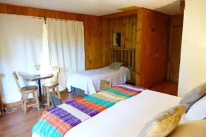 La Araucaria Hostería Boutique - Ex Lounge Brasil - Room