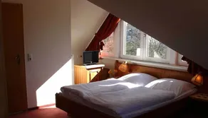 Gasthaus Zum Frohsinn - Room