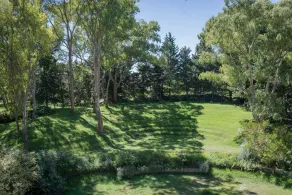 Hotel Del Bosque - View from room