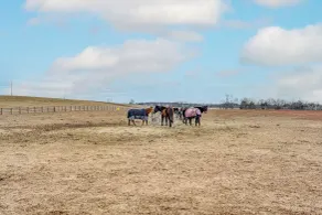 Rural & Historic Detour Escape w/ Horses On-site! - Innenbereich
