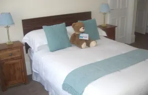 The Dolphin Hotel - Room