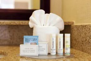 SpringHill Suites Charlotte Lake Norman/Mooresville - Salle de bain