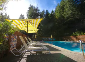 The Occidental Lodge - Pool