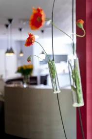 Hôtel Boréal - Réception