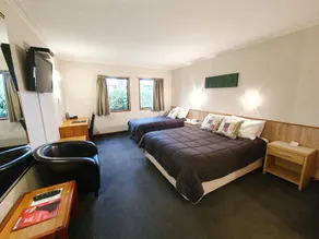 Fitzherbert Castle Motel - Room