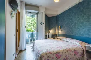 Hotel Raffaello - Vue de la chambre