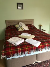Mavi Ladin Konukevi - Room