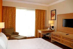 Holiday Inn La Piedad by IHG - Room